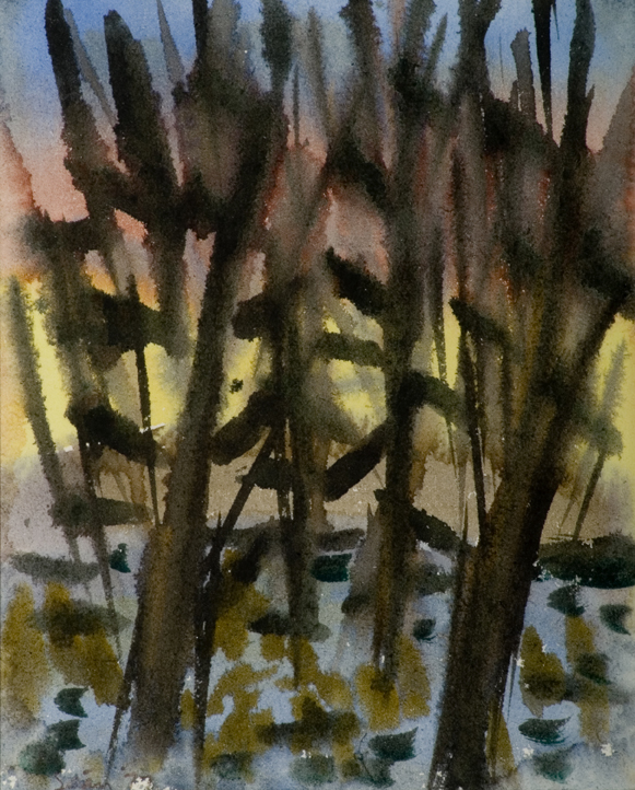 In the Forest Image
